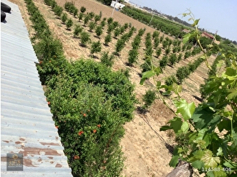 https www hepsiemlak com tarsus satilik arsa