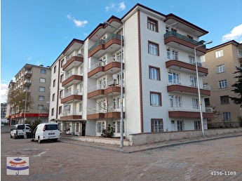 100 pamuk bayan külot lara balık evi