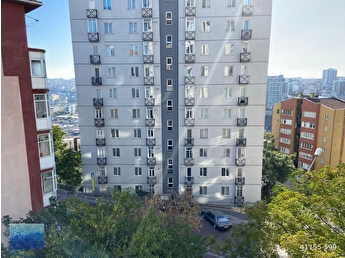 dul amcık