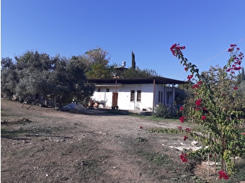 Lara Emlakcidan Satilik Arsa Fiyatlari Ilanlari Hurriyet Emlak
