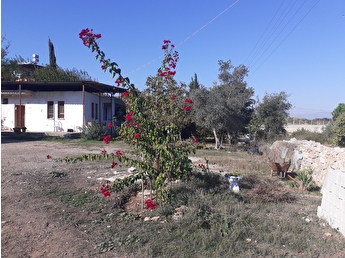 Lara Emlakcidan Satilik Arsa Fiyatlari Ilanlari Hurriyet Emlak