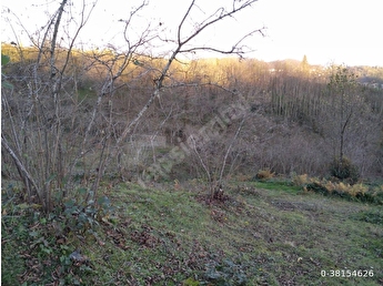 ordu ili persembe ilcesi tongelduzu mahallesinde satilik bahce 0 38154626 hepsiemlak