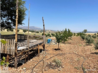 narli emlak tan satilik bahce 60299 524 hepsiemlak