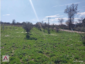 emziren annenin cani bir şey isterse