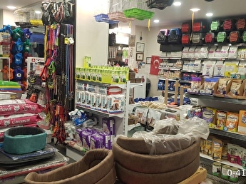 Pet top shop nearest