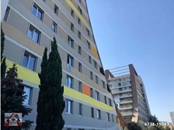 Pendik 1 1 Kiralik Daire Fiyatlari Ilanlari Hurriyet Emlak