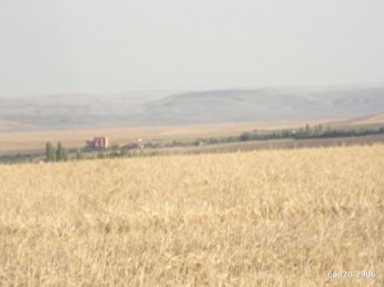 aksaray satilik arsa tarla bahce