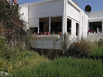 karaagac artur