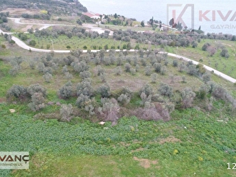 darica millet bahcesine bitisik konumda 6135 m2 satilik arsa 122634 9 hepsiemlak