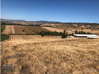 Bursa Yenisehir Barcinda 15 300 M2 Havaalanini Goren Arazi 80020 16 Hurriyet Emlak