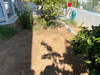 Bodrum Yali Sahibinden 2 1 Konut Ev Fiyatlari Hurriyet Emlak