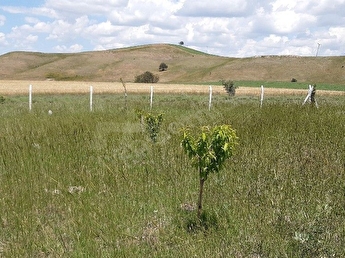 ankara sahibinden bag fiyatlari ilanlari hepsiemlak