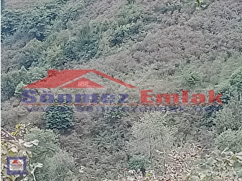 ordu persembe istanbulbogazi mah satilik verimli 8383m2 findik bahcesi 120619 294 hepsiemlak