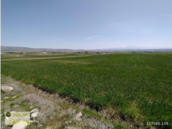 merzifon satilik tarla fiyatlari