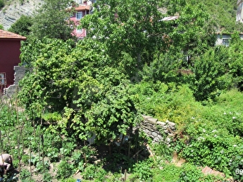 inebolu pazaryerinde satilik 2 katli ahsap bahceli ev 692126 491 hepsiemlak