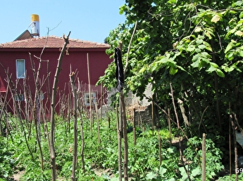 inebolu pazaryerinde satilik 2 katli ahsap bahceli ev 692126 491 hepsiemlak