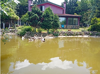 vize aksicim koyu satilik ciftlik evi fiyatlari ilanlari hepsiemlak