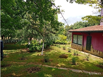 vize aksicim koyu satilik ciftlik evi fiyatlari ilanlari hepsiemlak