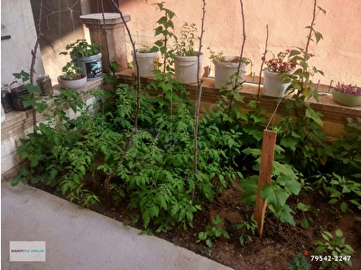 Derince Cinarli Mh Satilik Daire Fiyatlari Ilanlari Hurriyet Emlak