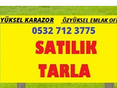 Boztepe Mh Satilik Tarla Fiyatlari Ilanlari Hurriyet Emlak