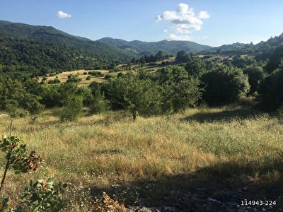 Balikesir Gonen Satilik Arsa Tarla Bahce Fiyatlari Ilanlari Hurriyet Emlak