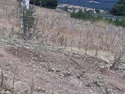 Tum Banaz Ilanlari Fiyatlari Hurriyet Emlak