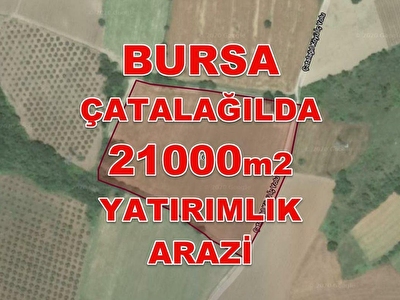 Catalagil Mh Satilik Tarla Fiyatlari Ilanlari Hurriyet Emlak