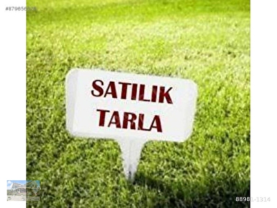 hurriyet emlak