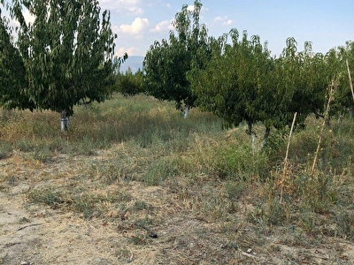 Korkuteli Yesilyayla Mh Satilik Arsa Tarla Bahce Fiyatlari Ilanlari Hurriyet Emlak