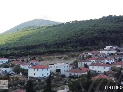 tum zeytinler mh ilanlari fiyatlari hurriyet emlak