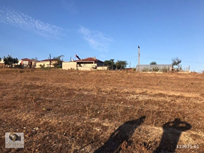 Korfez Satilik Arsa Tarla Bahce Fiyatlari Ilanlari Hurriyet Emlak