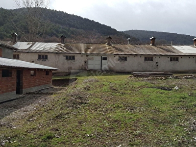 kiralik ciftlik evi fiyatlari ilanlari hurriyet emlak