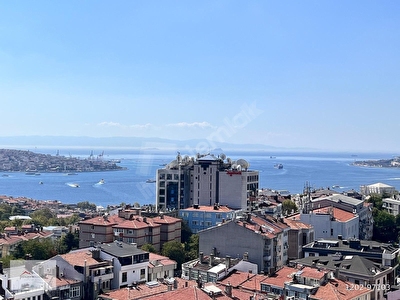 Beşiktaş Dikilitaş