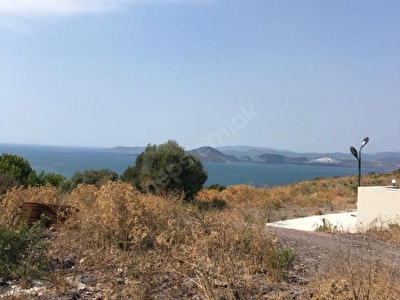 Milas Bogazici Mh Satilik Arsa Tarla Bahce Fiyatlari Ilanlari Hurriyet Emlak