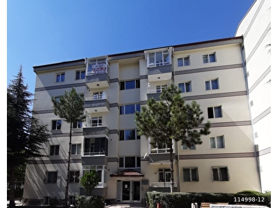Yeni Bati Mh Kiralik Daire Fiyatlari Ilanlari Hurriyet Emlak