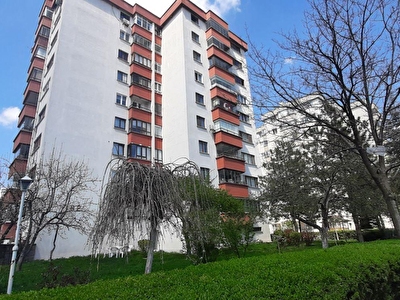 marjinal gayrimenkul a s