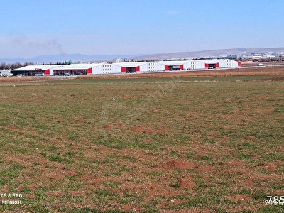 71 evler satilik arsa tarla bahce fiyatlari ilanlari hurriyet emlak