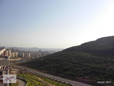 Maltepe Basibuyuk Mh Satilik Daire Fiyatlari Ilanlari Hurriyet Emlak