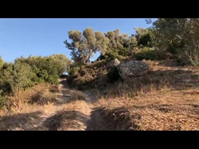 Bodrum Kizilagac Mh Satilik Arsa Tarla Bahce Fiyatlari Ilanlari Hurriyet Emlak
