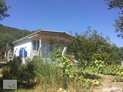 Orhangazi Satilik Arsa Tarla Bahce Fiyatlari Ilanlari Hurriyet Emlak