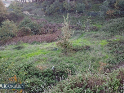 Beykoz Cavusbasi Satilik Arsa Tarla Bahce Fiyatlari Ilanlari Hurriyet Emlak