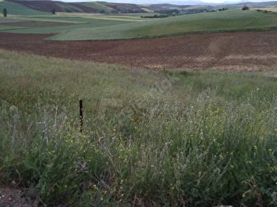 Pursaklar Karakoy Mh Satilik Arsa Tarla Bahce Fiyatlari Ilanlari Hurriyet Emlak