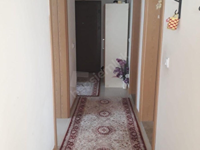 Rize Kiralik Daire Rize Kiralik Ev Ilanlari Hurriyet Emlak