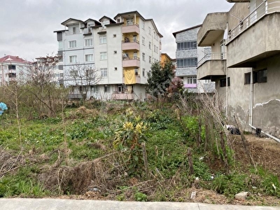 tum ordu bankadan ilanlari fiyatlari