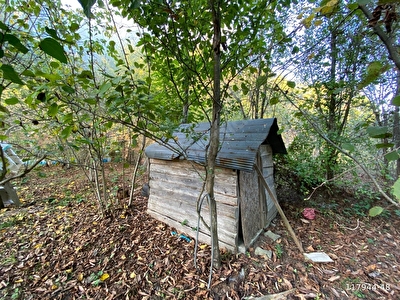 Kastamonu Bozkurt Satilik Arsa Tarla Bahce Fiyatlari Ilanlari Hurriyet Emlak