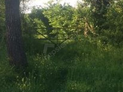 Duzce Merkez Satilik Bahce Fiyatlari Ilanlari Hurriyet Emlak