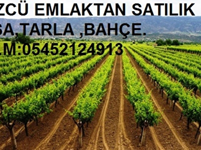 Tarsus Satilik Arsa Tarla Bahce Fiyatlari Ilanlari Hurriyet Emlak