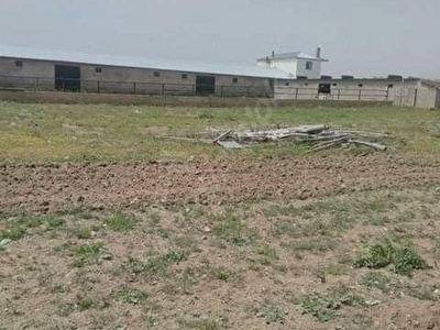 Aksehir Satilik Arsa Tarla Bahce Fiyatlari Ilanlari Hurriyet Emlak