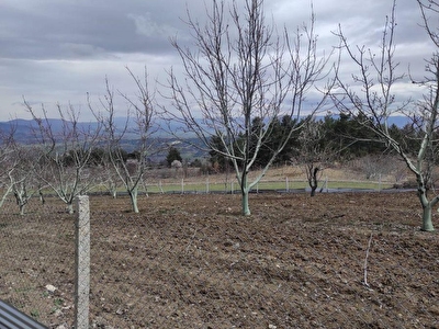 https www hurriyetemlak com denizli satilik arsa