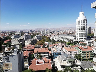 anasayfa hakkimizda haberler arama ekibimiz iletisim